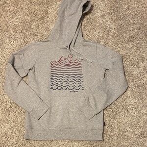 Patagonia Gray Hoodie with Wave Graphic